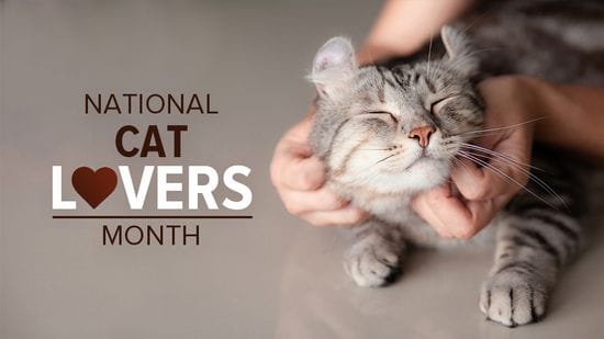National Cat Lovers Month